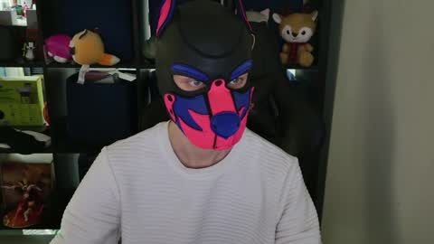 MellPUP online show from 04/08/26, 09:04
