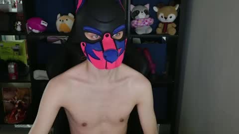 MellPUP online show from 04/15/26, 12:06