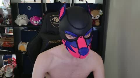 MellPUP online show from 04/30/26, 06:03