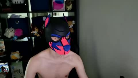MellPUP online show from 05/26/26, 03:41