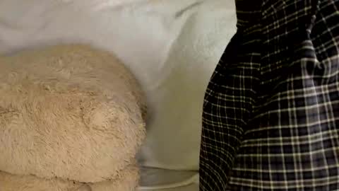 MelMooon online show from 03/09/26, 07:40