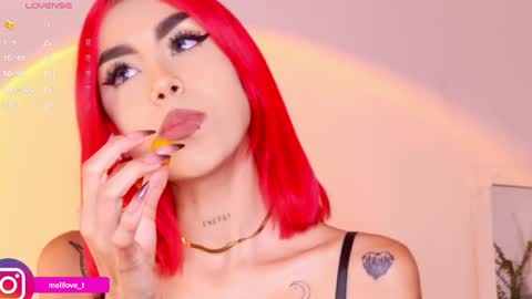 Melissa online show from 01/29/25, 03:44