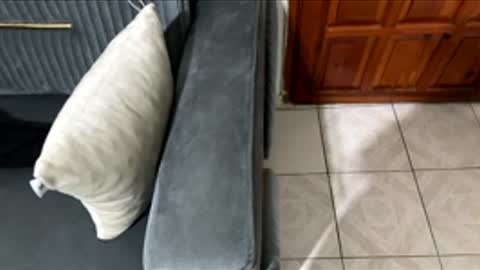 Snapshot of memo654733 chatting on 02/27/26, 08:42 Chucky1200 online show from 02/27/26, 08:42