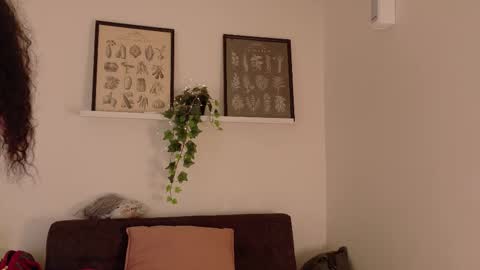  Memphis Williams  online show from 02/19/26, 02:40