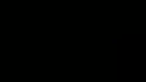 Toro loco online show from 09/21/25, 09:16