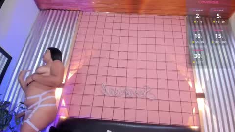 Snapshot of mensia_hernandez chatting on 02/19/25, 01:39 Princess Mensia online show from 02/19/25, 01:39