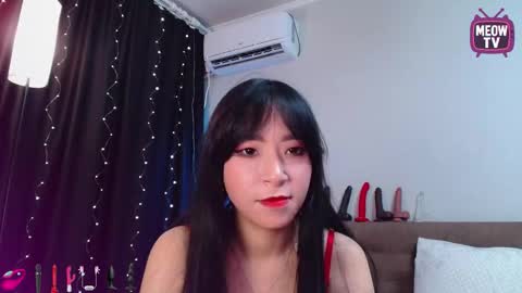 meowkami online show from 09/25/25, 12:47