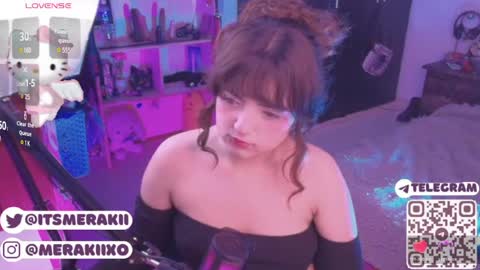 Snapshot of meraki_fraise chatting on 04/29/26, 02:54 online show from 04/29/26, 02:54