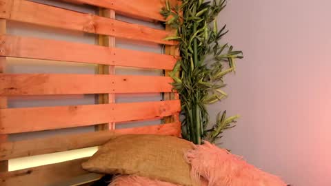 Merida  online show from 01/24/25, 04:06