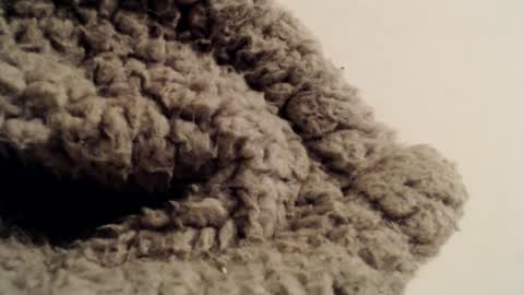 Mauro online show from 02/01/25, 05:37