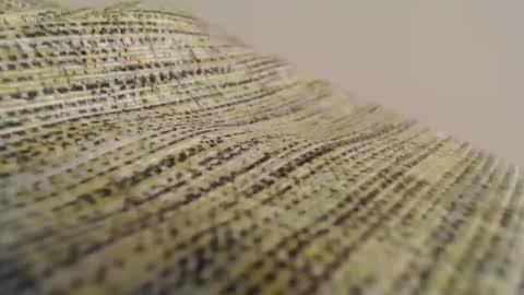 Mauro online show from 02/11/25, 08:52