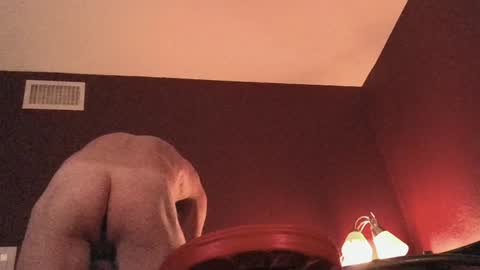 methorny online show from 12/16/24, 03:19