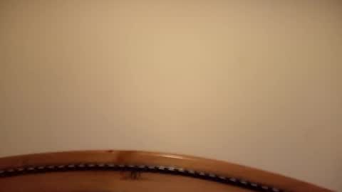 Snapshot of mhorny5 chatting on 09/14/25, 08:41 mhorny5 online show from 09/14/25, 08:41