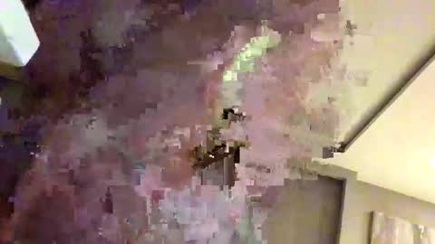 mi45419 online show from 02/22/26, 03:29