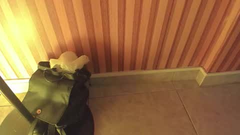 mia__blaze_ online show from 02/05/26, 03:00