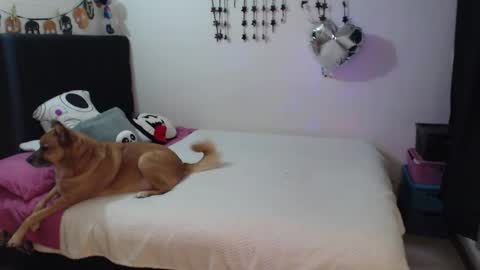 mia online show from 02/03/26, 10:59