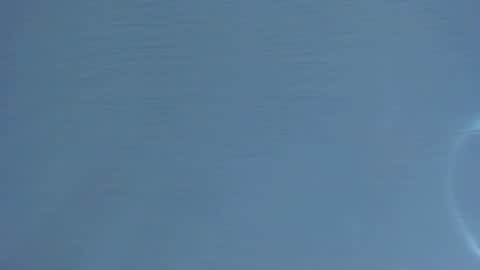 Mia online show from 01/16/26, 02:15