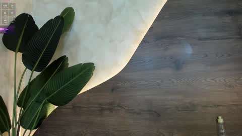 mia_lacy online show from 01/30/25, 01:55