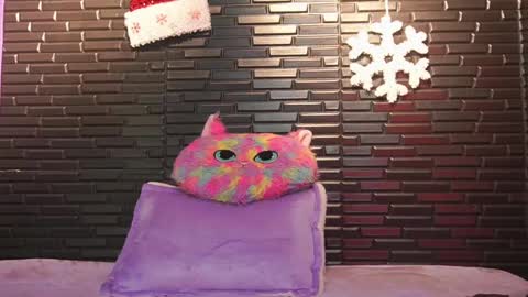 Snapshot of miadimota chatting on 12/07/24, 07:38 Mia online show from 12/07/24, 07:38