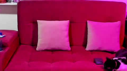 Snapshot of miadimota chatting on 09/14/25, 01:05 Mia online show from 09/14/25, 01:05