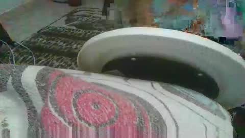 miagomezx online show from 02/17/26, 04:42