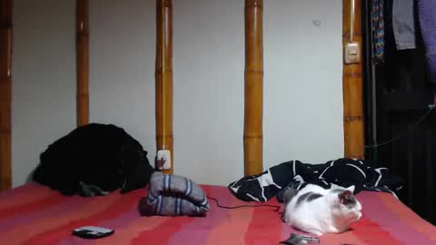 Mia  Sam online show from 03/07/26, 10:18