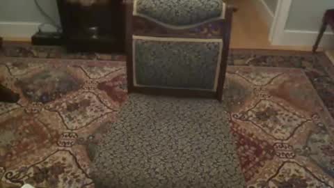 miamiwrestler online show from 12/22/25, 02:41