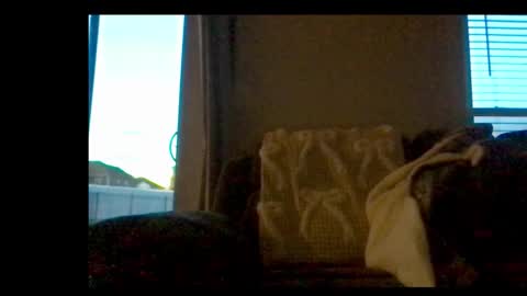 Snapshot of michaelt483 chatting on 02/21/26, 11:06 michaelt483 online show from 02/21/26, 11:06