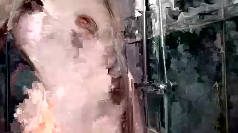 Snapshot of mickavis1975 chatting on 01/01/25, 05:55 mickavis1975 online show from 01/01/25, 05:55