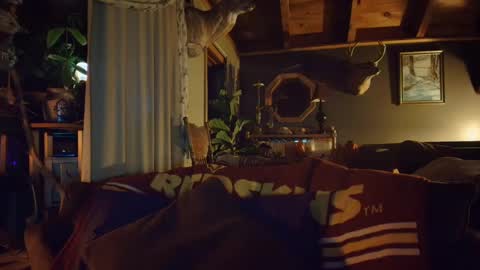 Hey Mickey online show from 12/18/24, 10:57