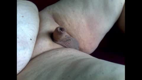 micropimmel online show from 10/11/25, 01:31