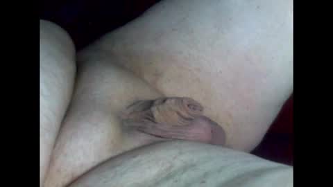 micropimmel online show from 02/26/26, 08:30