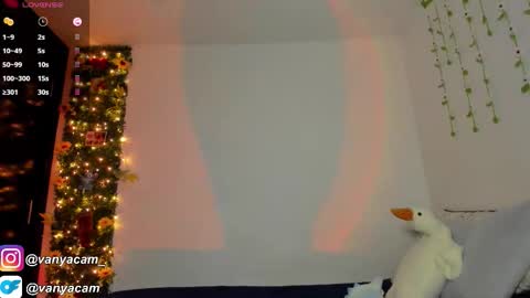 Snapshot of midnight_vk chatting on 11/12/25, 03:51 VanyaKlaus online show from 11/12/25, 03:51