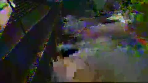 midtownhustler online show from 03/25/26, 03:07