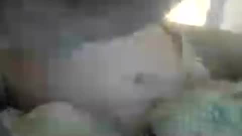 Snapshot of miguel_123456780121 chatting on 06/14/26, 05:15 miguel 12345678012 online show from 06/14/26, 05:15