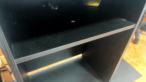 Mia online show from 02/24/25, 11:10