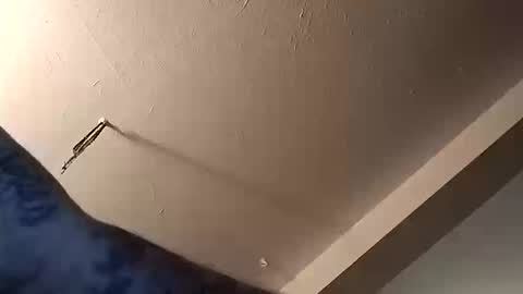 mike3333me online show from 10/11/25, 12:32