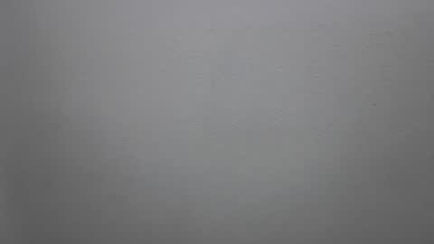 Snapshot of mikehannigan123 chatting on 02/19/26, 04:47 mikehannigan123 online show from 02/19/26, 04:47