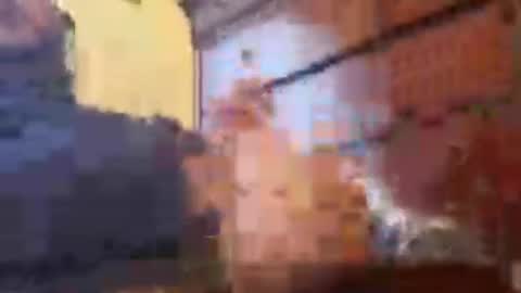 mikemalas1000 online show from 07/01/26, 05:34