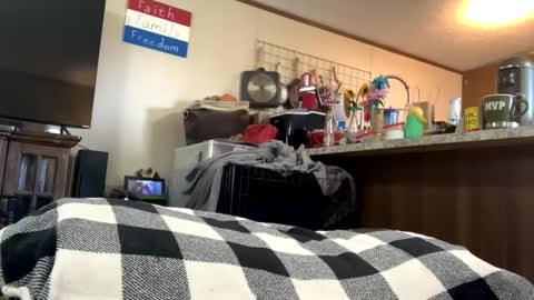 Snapshot of mikeylikesit2222 chatting on 09/25/25, 08:23 mikeylikesit2222 online show from 09/25/25, 08:23