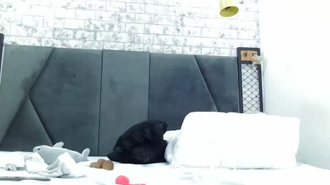 Snapshot of mila_adamss chatting on 01/16/25, 05:01 mila_adamss online show from 01/16/25, 05:01