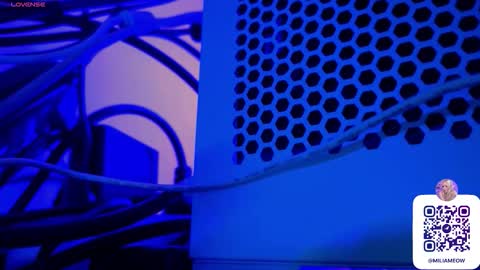 Snapshot of miliameow chatting on 10/08/25, 12:19 Milia online show from 10/08/25, 12:19