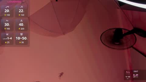 Snapshot of millieskinny_ chatting on 02/01/25, 12:40 Ana Maria online show from 02/01/25, 12:40