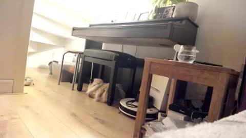 Milu online show from 03/05/25, 03:40