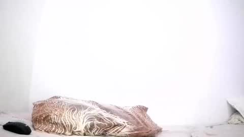 mina smith online show from 03/24/26, 03:39