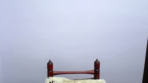 Snapshot of minato_kabuki chatting on 12/19/24, 11:25 MINATO online show from 12/19/24, 11:25