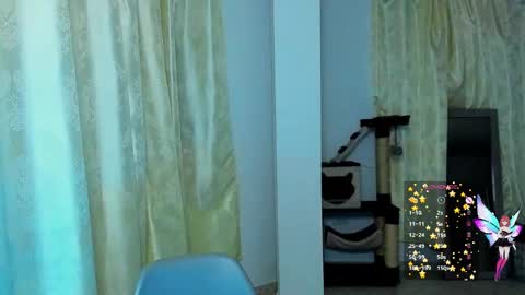 Amber online show from 12/02/24, 06:41