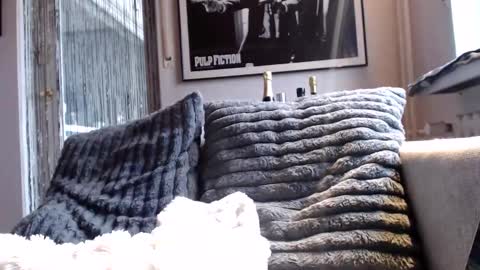 Ben online show from 02/10/26, 09:02