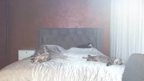 Snapshot of mishakiss34 chatting on 01/31/26, 07:11 Misha online show from 01/31/26, 07:11