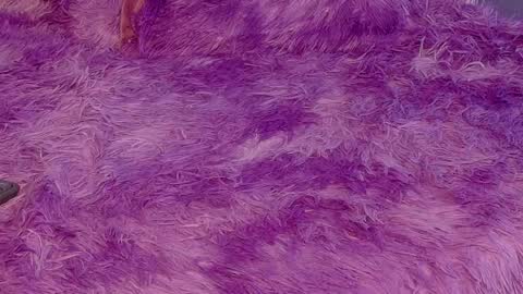 miss__jones_ online show from 04/06/26, 04:52